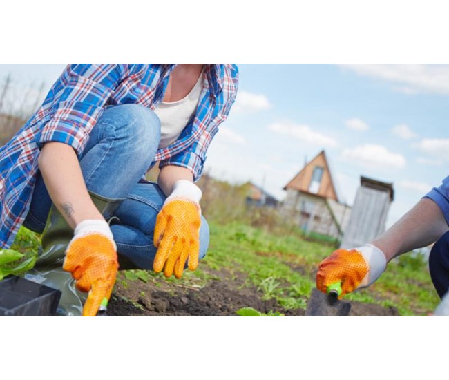 Técnico en Prevención de Riesgos Laborales en Agricultura y Jardinería