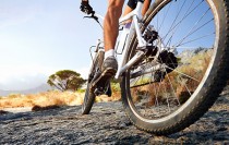 AFDA0109 Guía por Itinerarios en Bicicleta (Online)