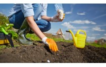 AGAO0208 Instalación y Mantenimiento de Jardines y Zonas Verdes (Online)