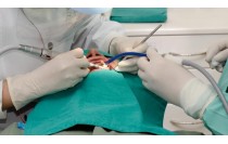 Técnico Auxiliar de Clínica Dental (Online)