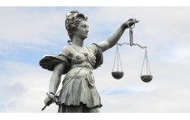 Perito Judicial en Contaminación del Suelo (Online)