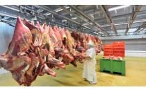 UF0352 Acondicionamiento de la Carne para su Comercialización (Online)