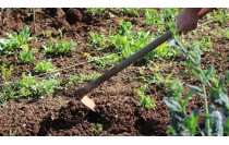 UF0431 Realización de Trabajos de Agrimensura, Nivelación Simple y Replanteo (Online)