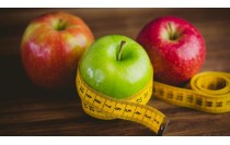 Curso Practico de Dietética: Sistema Digestivo y Necesidades Nutricionales